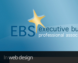Exec BS